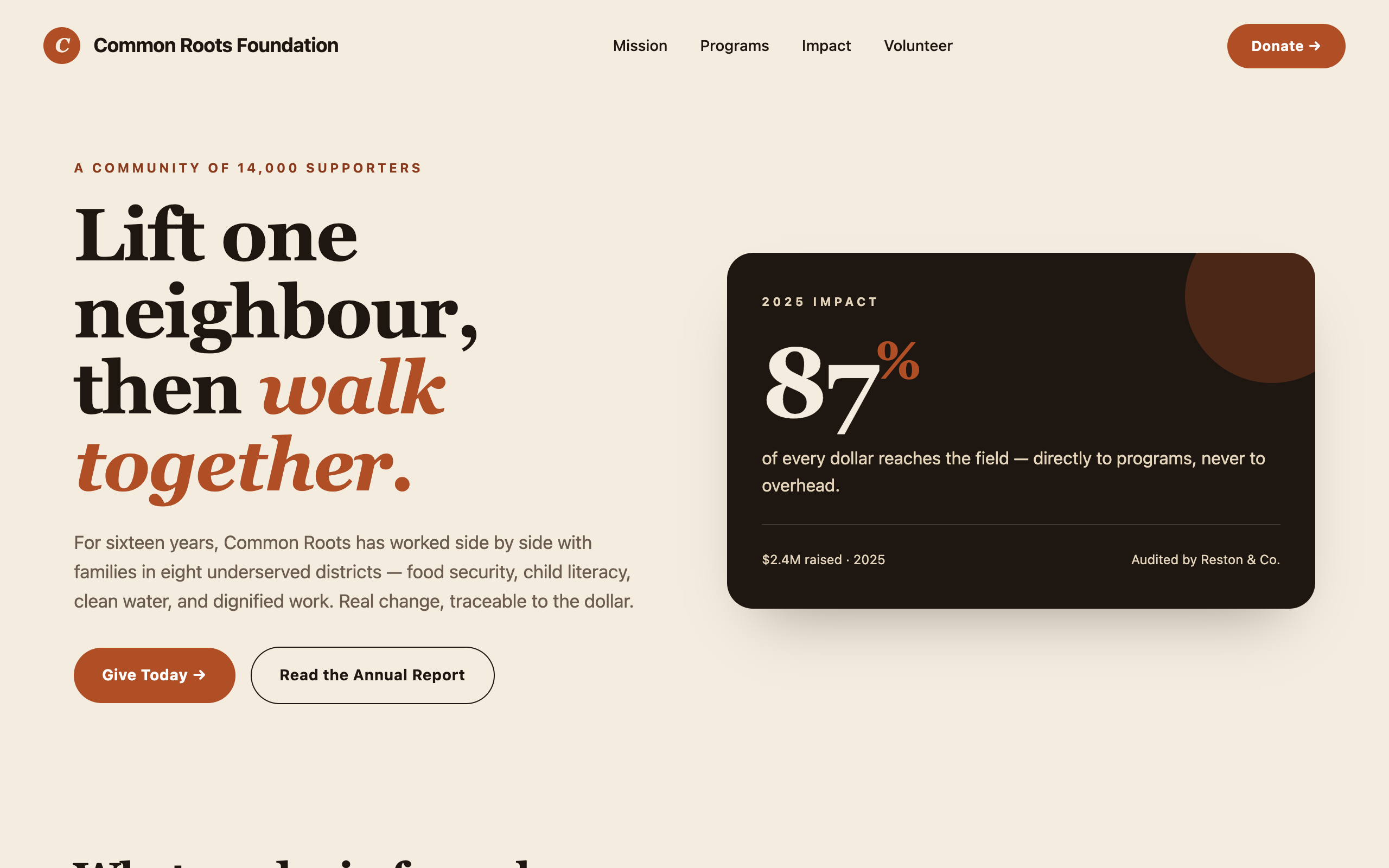 Nonprofit & Charity community website template preview