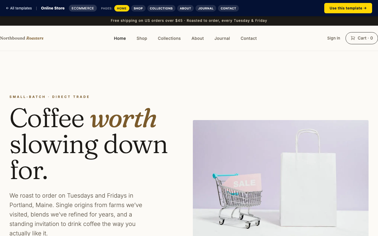 Online Store ecommerce website template preview
